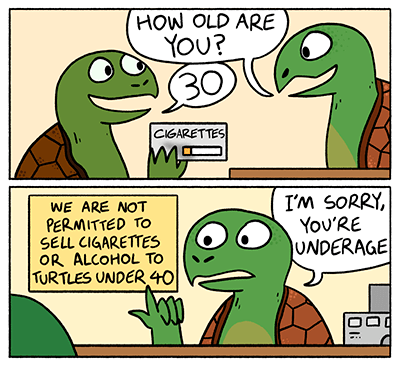 Turtle age 40 years