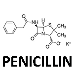 Picture of Penicillin, the world's first effective antibiotic