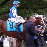 Picture of Smarty Jones horse,  Winner of 2004 Kentucky Derby and Preakness