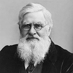 Picture of Alfred Russel Wallace,  Co-Discovered Theory of Evolution